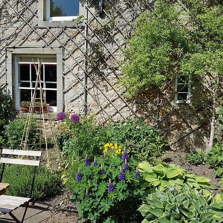 Owl Cottage 헥삼 외부 사진