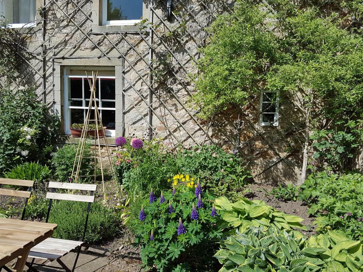 Owl Cottage 헥삼 외부 사진